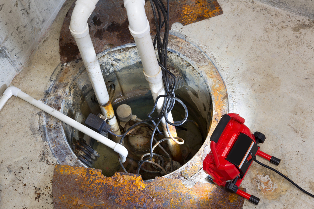Sump Pumps in Leo IN